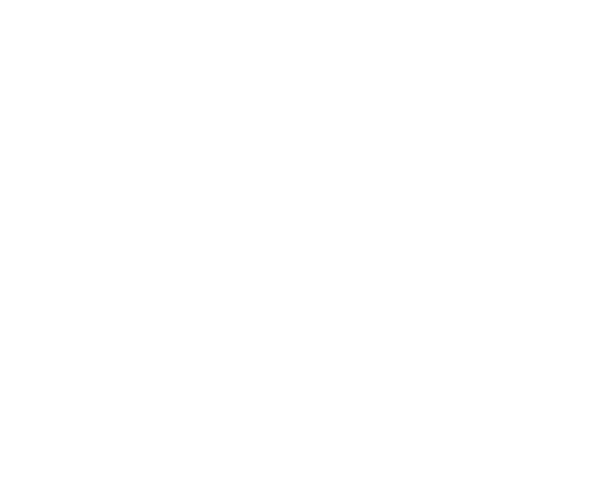 Roniel Medina